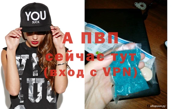 ПСИЛОЦИБИНОВЫЕ ГРИБЫ Осинники