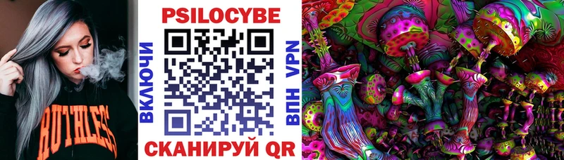 даркнет сайт  Сорочинск  Псилоцибиновые грибы мицелий 