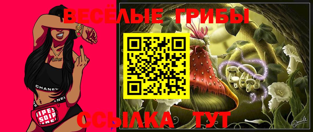 купить   Псилоцибиновые грибы ЛСД  Вход с VPN  Сорочинск 